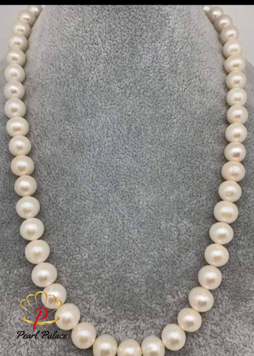 Celestial Strand" South Sea Pearl Necklace. — 2